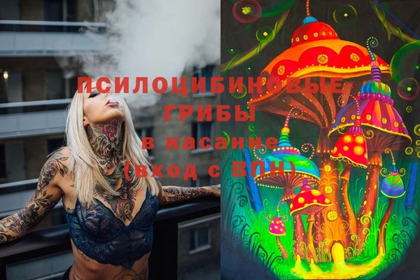 сатива Верхний Тагил