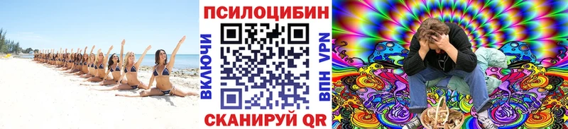 Псилоцибиновые грибы прущие грибы купить наркоту Клинцы