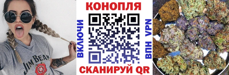 shop формула  Клинцы  Бошки Шишки сатива 